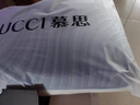 慕思（de RUCCI）乳胶枕枕芯 沁风眠独立筒弹簧枕芯单人护颈枕头mini弹簧成人枕 单只 乳胶弹簧枕-PCW1-113 9cm 【仰睡首选】仰睡贴合颈区，适配80%人群 实拍图