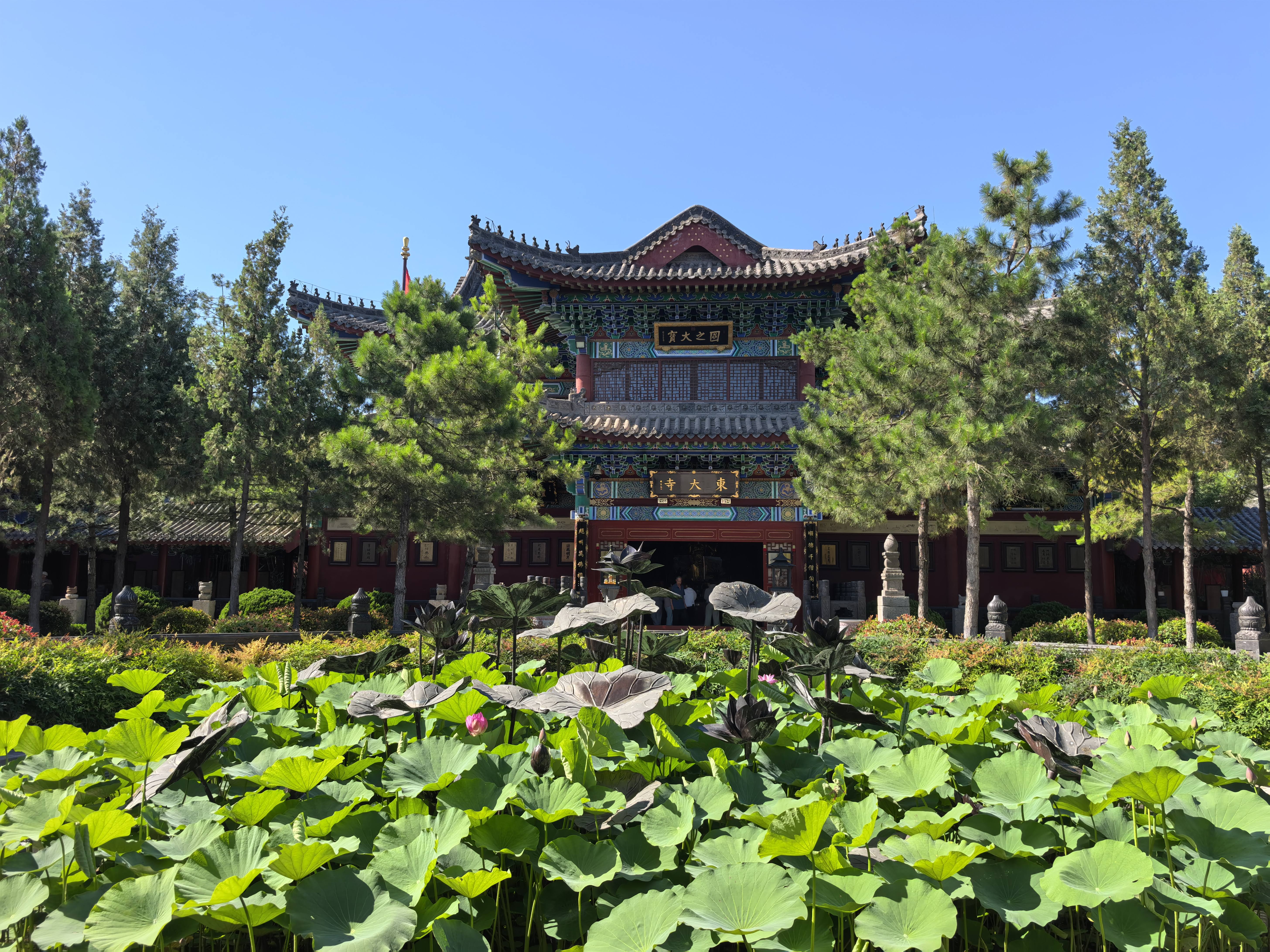 鱼跃（yuwell）助行器老人骨折专用辅助行走器可折叠升降辅助起身YU760 实拍图