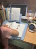 天文小学生写字矫正器12°坐姿保护器儿童写作业姿势纠正器书桌学习矫正支架写字架 W024蓝色 实拍图