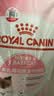 皇家幼猫奶糕 幼猫猫粮 BK34 通用粮 1-4月 2KG 实拍图