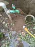 绿族洗车水喷枪高压水枪冲洗院子洗地水管软管增压家用便携浇菜神器 实拍图