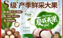 果云阁26年新货  云南夏威夷果0添加原味5斤 孕妇/儿童坚果办公室零食 【精选大果24-26mm】  奶香味        5斤 实拍图
