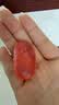 施丹兰（STENDERS）【钟楚曦同款】暴风雪皂手工精油皂男女洁面皂100g 生日礼物 实拍图