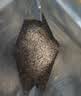 Orijen渴望狗粮 小型犬全期小颗粒鸡肉进口犬粮1.8kg*2效期27/5 实拍图