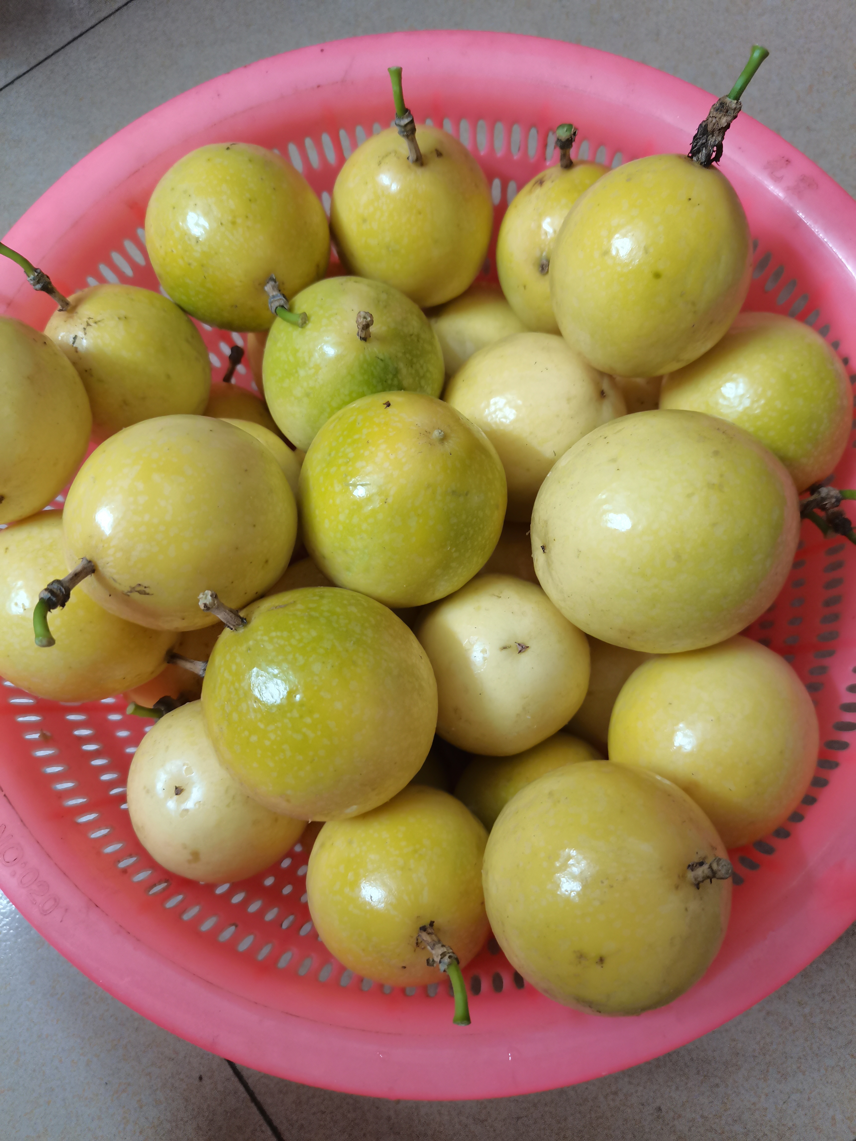 星鲨维生素AD滴剂(胶囊型)30粒10盒ad滴剂1岁以上维生素ad儿童3-12岁青少年6-13岁助长高促钙吸收视力发育 实拍图