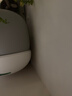 小佩智能全自动猫砂盆可视猫厕所MAX PRO2电动铲屎一键换砂开放式隔臭 实拍图