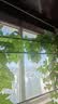 九千谷 包塑钢管园艺支架户外阳台蔬菜固定架爬藤植物架  管径11mm7062 实拍图