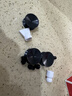 森森龟缸过滤器低水位鱼缸过滤泵XN-800四层过滤基础款10W 实拍图