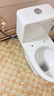 松鲸 卫浴家用马桶坐便器大冲力超漩虹吸式静音连体座便器小户型马桶 直冲型【大冲力】300坑距 实拍图