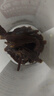 草原今朝 特干牛肉干 原味100g 约9成干 内蒙特产 休闲小吃  牛肉零食  实拍图
