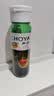 CHOYA【经典】俏雅梅酒820ml 日式梅子酒正宗青梅酒 女士低度甜味果酒 实拍图