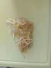 绿豆芽300g 实拍图