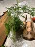 文竹盆栽绿植花卉盆景植物室内客厅水培文松云竹文竹大苗四季常青 小文竹【3棵性价比高】原土球发货 高度15-25cm 实拍图