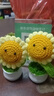 生喜朗手工向日葵一举夺魁针织花束桌面摆件中高考毕业礼物老师伴手礼 实拍图
