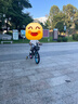永久（FOREVER）儿童自行车童车男女儿童脚踏车平衡车自行车宝宝童车16寸梦幻黑 实拍图