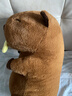 熊猫熊卡皮巴拉玩偶毛绒玩具公仔布娃娃男女孩生日礼物女生儿童水豚噜噜 实拍图