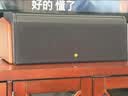 惠威（HiVi） D3.2MKIII-C家庭影院中置音箱 电视音响中置 木质客厅音响  实拍图