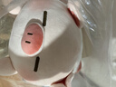 名创优品（MINISO）小猪B-BO系列趴姿毛绒公仔娃娃玩偶儿童玩具抱枕靠枕生日礼物女 实拍图