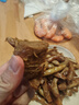 鲜京采 国产山东黄牛谷饲原切牛腿肉3斤 生鲜牛肉 烧烤炖煮食材 实拍图