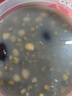 十月稻田 黄豆 2斤 东北大豆 非转基因 打豆浆料包 发豆芽 营养速食早餐 实拍图