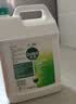 滴露（Dettol）消毒液消毒水衣物除菌液洗衣服地板杀菌除螨消毒喷雾片非84次氯酸 【超值量贩】滴露消毒液5L 实拍图