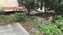 猫人10A抑菌夏季薄款无痕内衣女士冰丝无钢圈文胸聚拢防下垂性感胸罩 实拍图