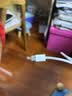 OKSJ适用苹果15/16/17充电线60W数据线45W/40W【全系快充】Type-C iPhone15Pro/iPad/笔记本1.5米两条 实拍图