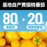 一颗大100%NFC黄番茄汁0添加0脂肪西红柿无糖果汁饮料整箱装礼盒270g*6 实拍图