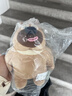熊出没熊大熊二公仔儿童礼物毛绒玩具陪睡玩偶生日礼物 熊大23cm+熊二23cm 实拍图