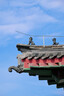 腾龙（Tamron）B070Z 17-70mm F/2.8 Di III-A VC RXD防抖大光圈微单镜头风光人像旅行（尼康Z口） 实拍图