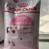 皇家幼猫猫粮 幼猫奶糕 K36 通用粮 4-12月 2KG 实拍图