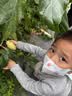 稳健棉里层儿童口罩3-6岁独立装一只一袋40只亲肤透气防尘防晒防过敏 实拍图