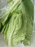 现摘毛白菜 新鲜脆嫩小白菜 露天种植 当季时令青菜包邮 安徽小白菜2斤（净重1.6斤） 实拍图