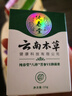 纯春堂云南本草湿诊膏成人止痒皮肤瘙痒大腿内侧肛门阴囊潮湿抑菌膏 实拍图