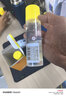 得力125ml刷片胶头高透明胶水 可水洗高粘液体胶 学生文具 开学必备学习用品 4支装 办公用品 7303S 实拍图