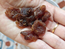 十月稻田桂圆肉 425g 无核桂圆干 无添加 煲汤泡水补气血 红枣枸杞莲子 实拍图