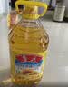 鲁花 食用油 物理压榨 葵花仁油6.18L  实拍图