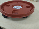 生长魔励移动花盆托盘万向轮 加厚滚轮圆形托盘接水盘滑轮底座花卉盆栽 茶色2号内径26cm 实拍图
