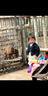 旗帜奶粉3段红钻幼儿配方奶粉（12-36个月）红罐新国标 3段 808g 6罐 【买6罐得7罐】 实拍图