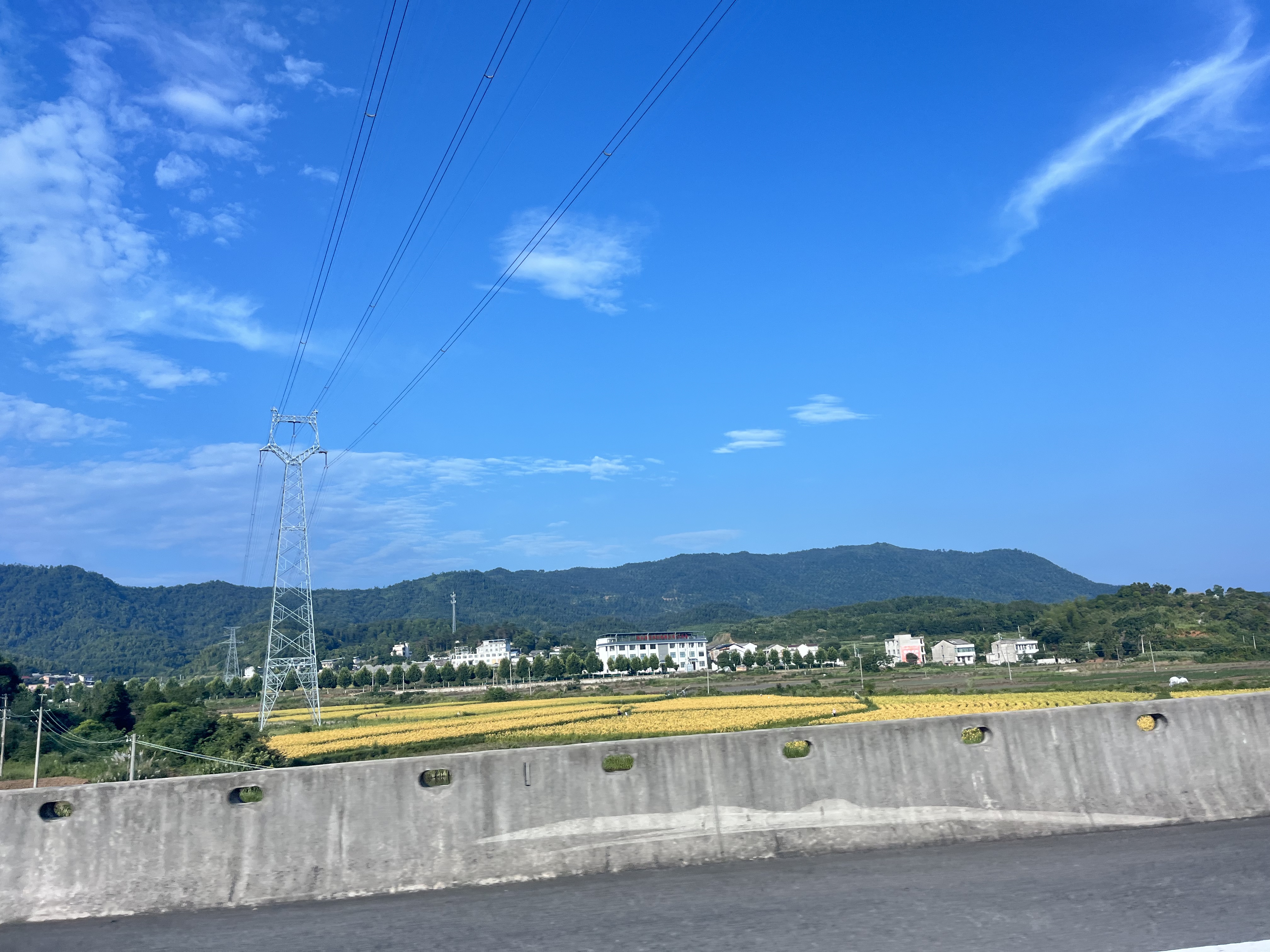 美的（Midea）空调扇制冷风扇家用冷风机客厅卧室立式水冷塔扇加湿降尘冷气机加水加冰降温凉风机 【离线语音智控】负离子净化 实拍图