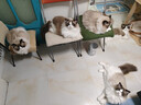 网易严选全价冻干双拼猫粮3.0成猫幼猫干粮鲜鸡肉7.2kg【囤货装】宠物金选 实拍图