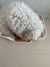 HELLOJOY狗厕所中型小型犬专用防踩屎便盆尿尿盆非不锈钢大小便神器狗砂盆 实拍图