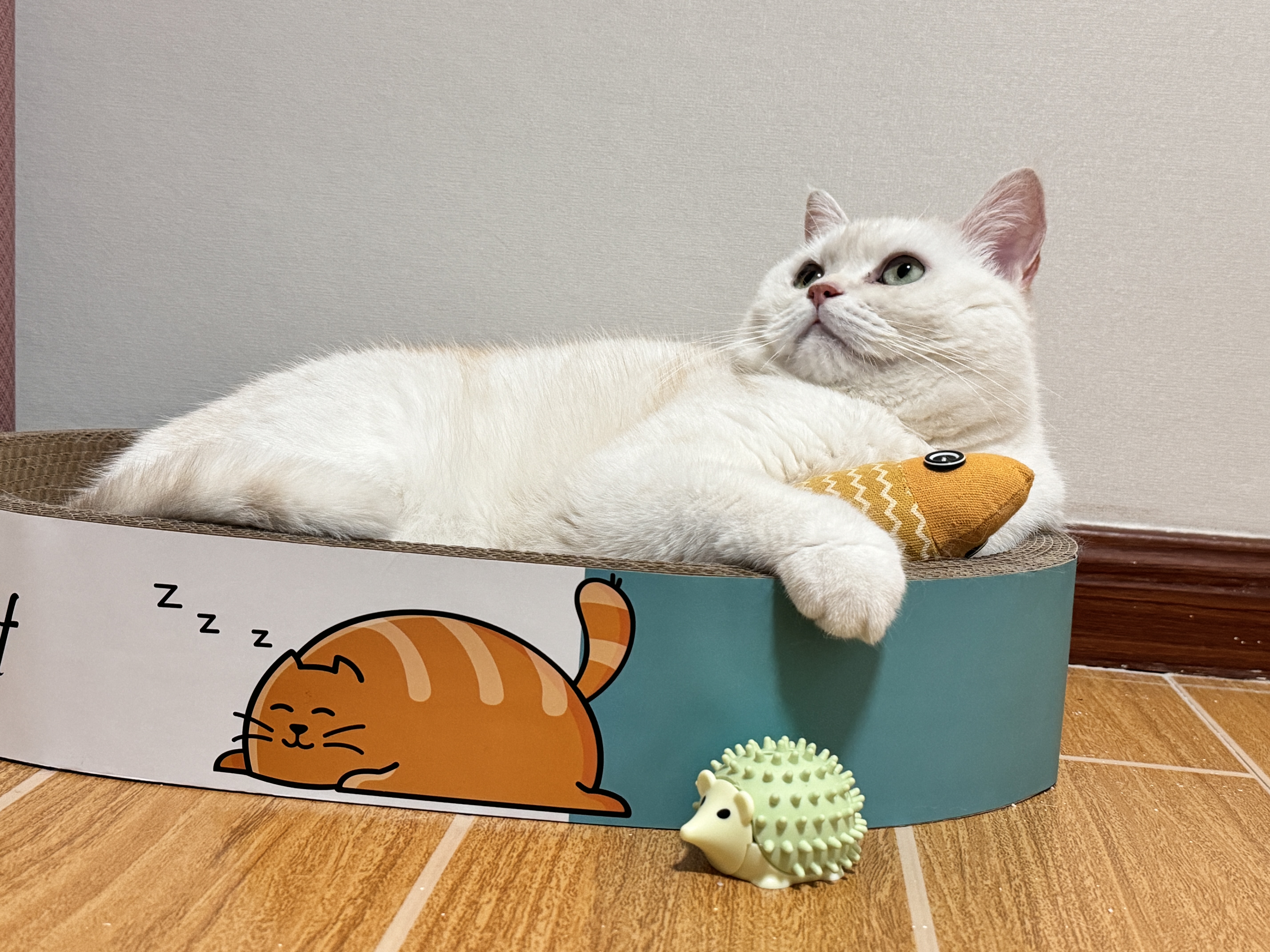 疯狂的主人猫抓板窝特大号猫玩具猫爪板猫抓盆不掉屑猫窝椭圆形瓦楞纸 实拍图