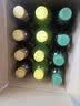 清酷（SENSACOOLS）清酷凉茶低糖0脂草本精华植物饮料 绿茶350mL*24瓶 实拍图
