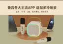 漫步者（EDIFIER）Q1【双麦版】K歌音响 家庭KTV音箱 便携K歌音箱 便携唱歌神器卡拉OK套装 云岩白 实拍图