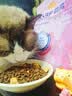 麦富迪猫粮 超肉粒冻干双拼成猫粮美毛护肠三文鱼10kg/20斤【宠物金选】 实拍图