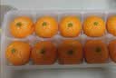 安井慕斯蛋奶橘子包350g*2 共20只 面点卡通甜包儿童早餐速冻半成品 实拍图