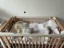 babycare婴儿床0-3岁宝宝实木床儿童床拼接快装床多功能新生儿床 弗里斯克 实拍图