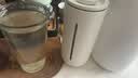 泰摩小U法压壶450ml 手冲咖啡壶冲茶器 玻璃咖啡滤杯法式滤压壶 实拍图