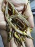 良时海大连风干银鱼 净重250g 小银鱼银针鱼干 源头直发 煎炸辣炒 实拍图